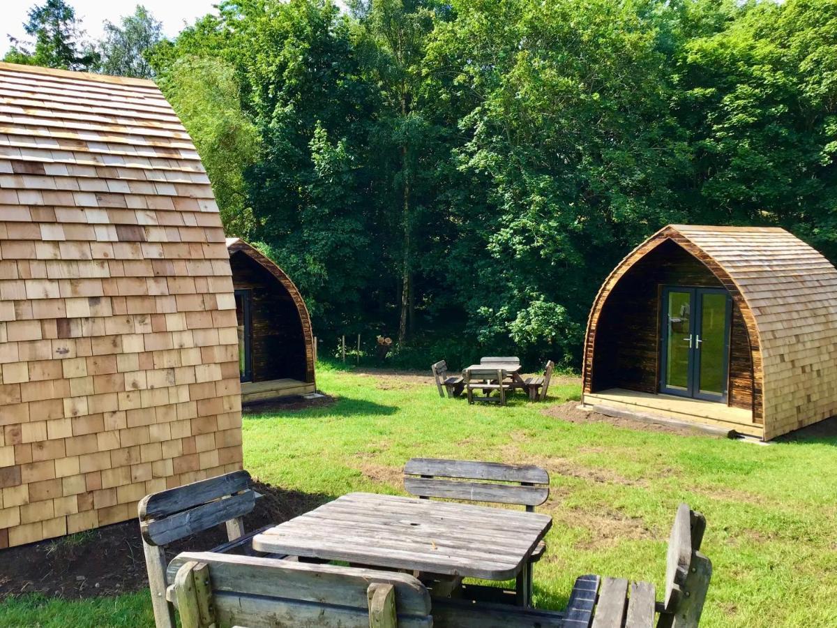 Alder Pod, Clay Bank Huts Hotel Ingleby Greenhow Eksteriør billede